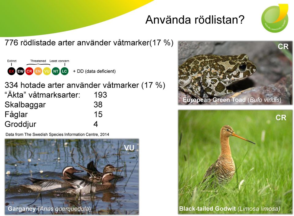 använder våtmarker (17 %) Äkta våtmarksarter: 193 Skalbaggar 38 Fåglar 15 Groddjur 4