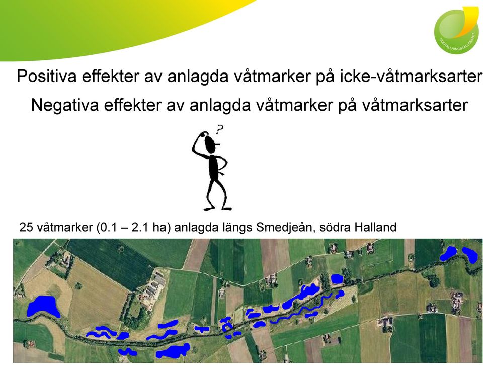 anlagda våtmarker på våtmarksarter 25