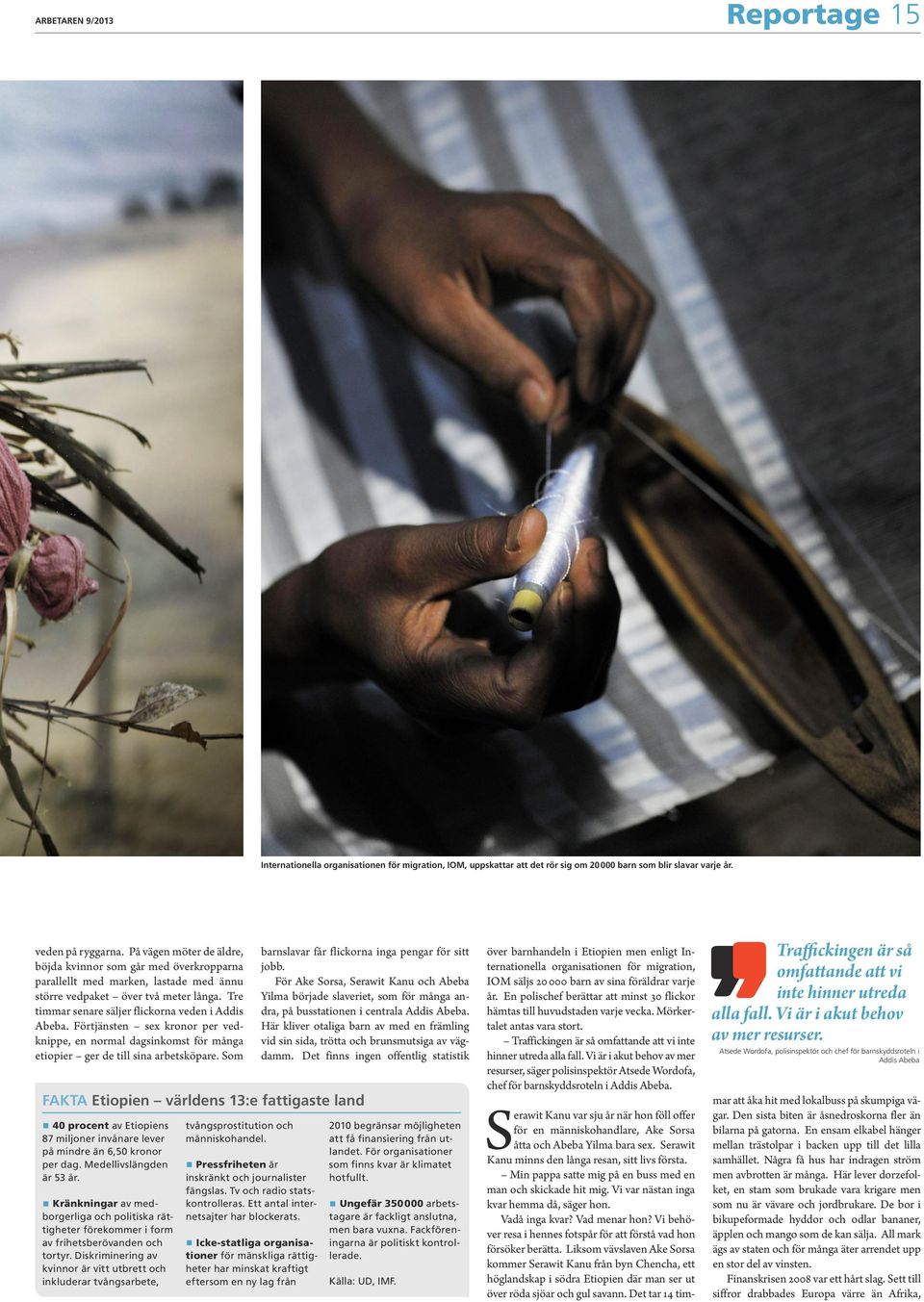 Förtjänsten sex kronor per vedknippe, en normal dagsinkomst för många etiopier ger de till sina arbetsköpare.