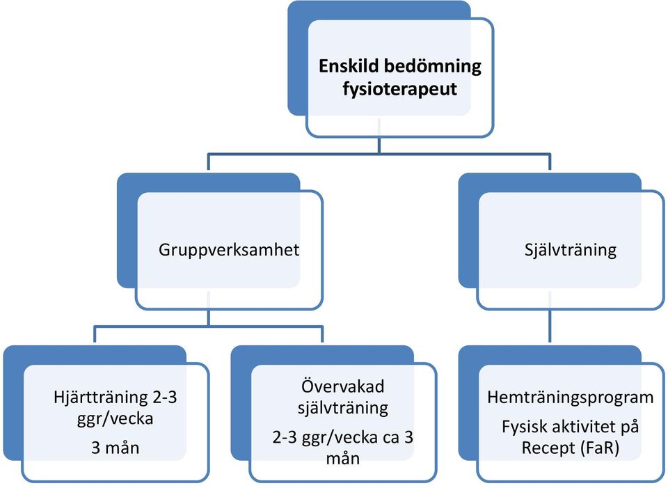 Övervakad självträning 2-3 ggr/vecka ca 3 mån