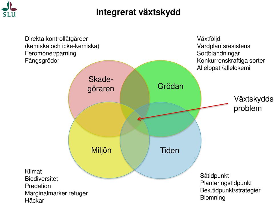 Konkurrenskraftiga sorter Allelopati/allelokemi Växtskydds problem Miljön Tiden Klimat