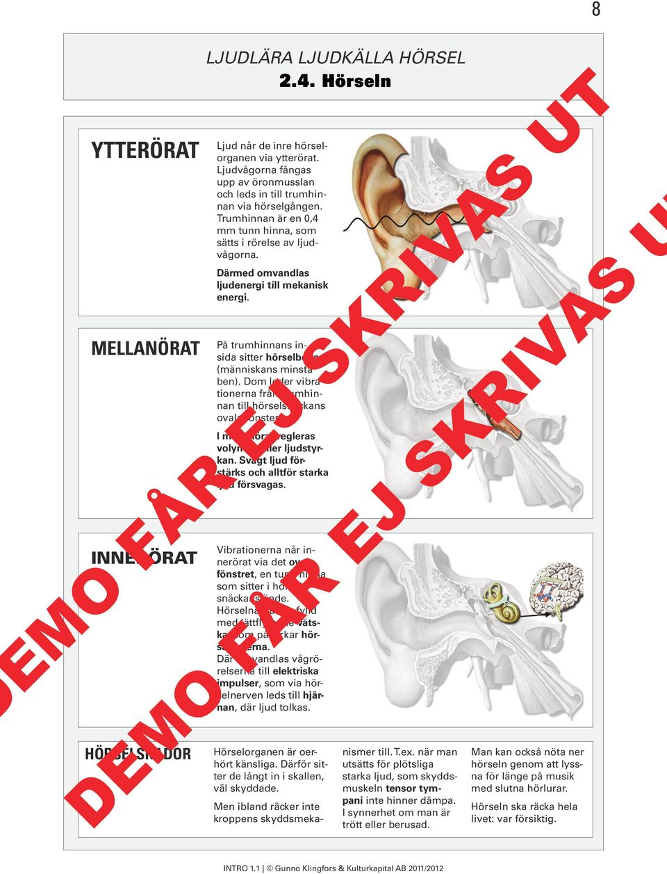 Därmed omvandlas ljudenergi till mekanisk energi. På trumhinnans insida sitter hörselbenen (människans minsta ben). Dom leder vibrationerna från trumhinnan till hörselsnäckans ovala fönster.