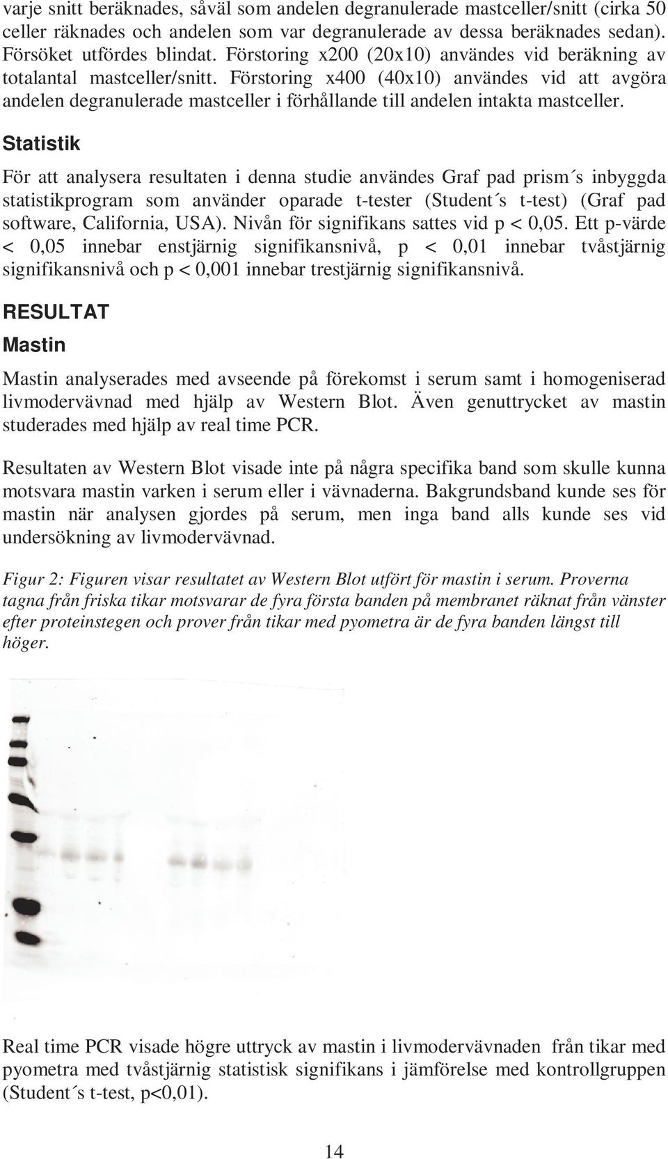 Förstoring x400 (40x10) användes vid att avgöra andelen degranulerade mastceller i förhållande till andelen intakta mastceller.
