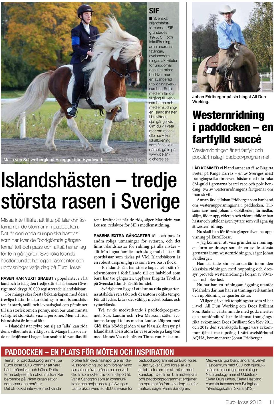 Som medlem får du tillgång till verksamheten och medlemstidningen Islandshästen i brevlådan sju gånger/år.