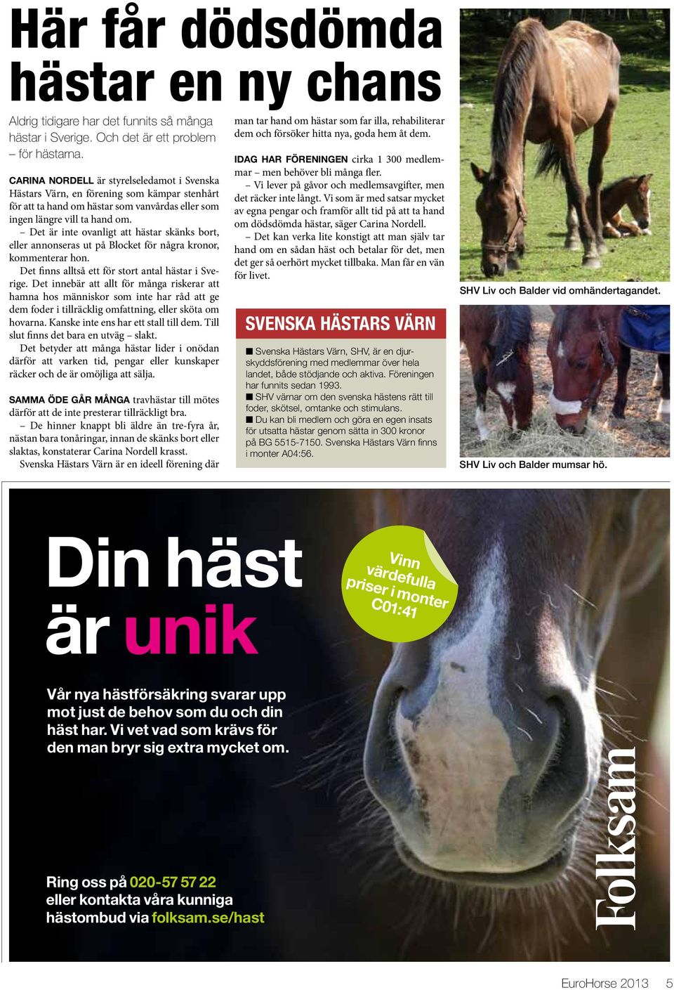 Det är inte ovanligt att hästar skänks bort, eller annonseras ut på Blocket för några kronor, kommenterar hon. Det finns alltså ett för stort antal hästar i Sverige.