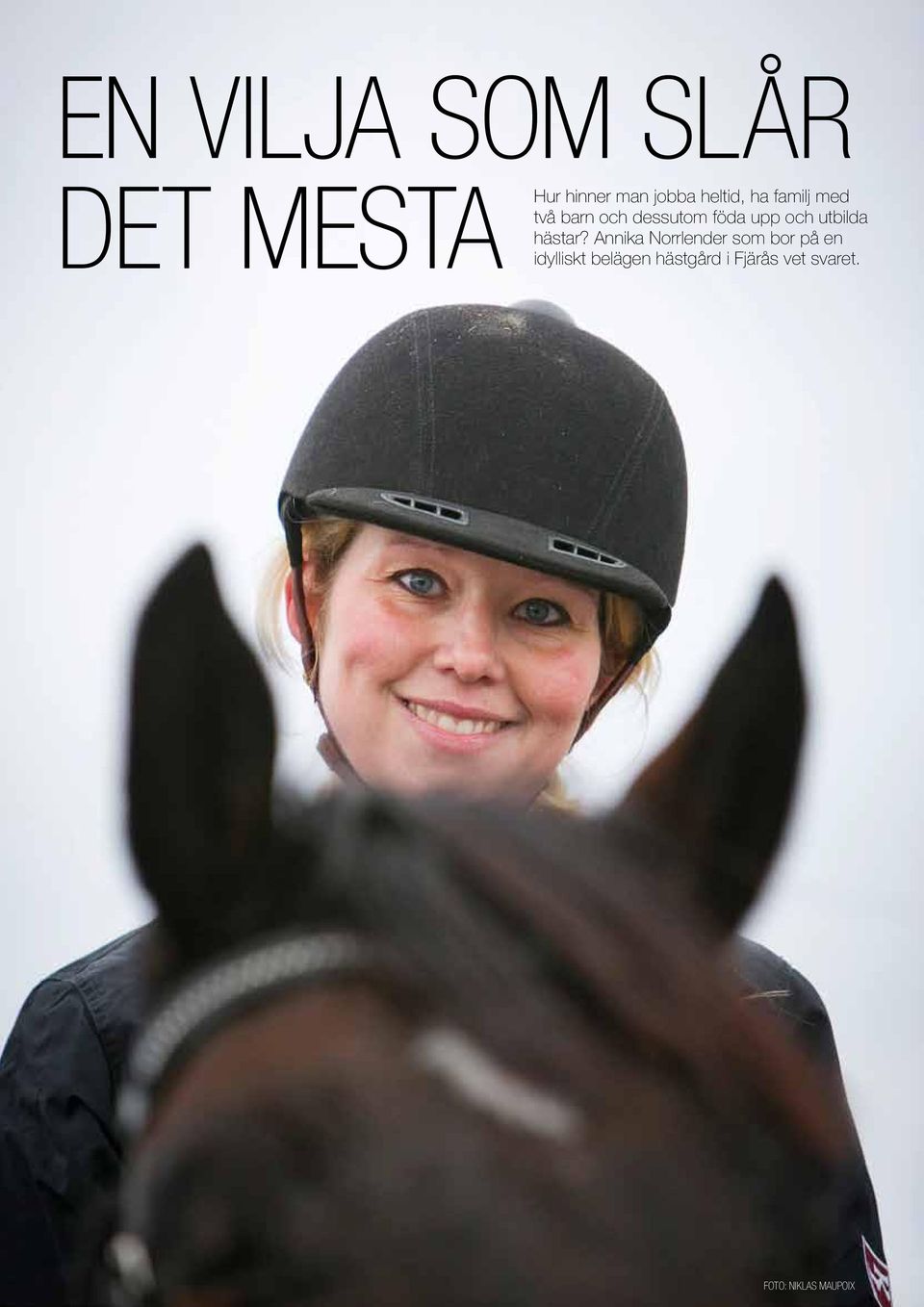 hästar?