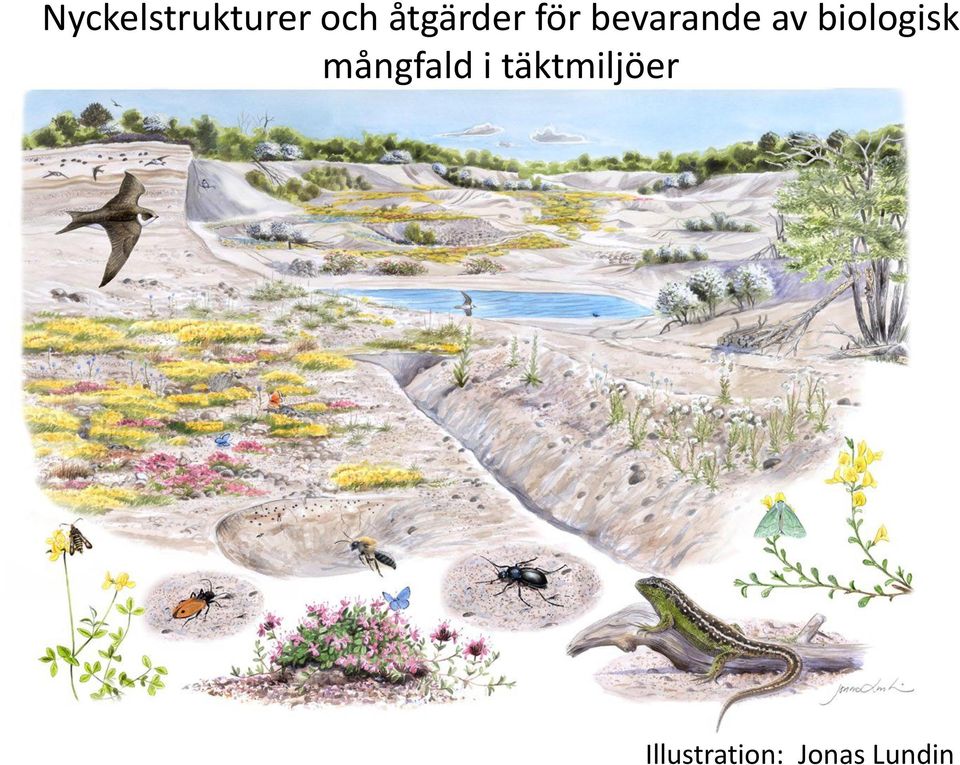 biologisk mångfald i