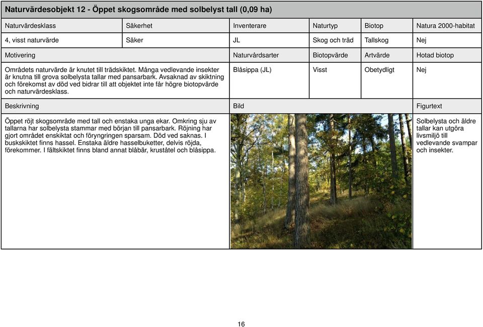 Avsaknad av skiktning och förekomst av död ved bidrar till att objektet inte får högre biotopvärde och naturvärdesklass.