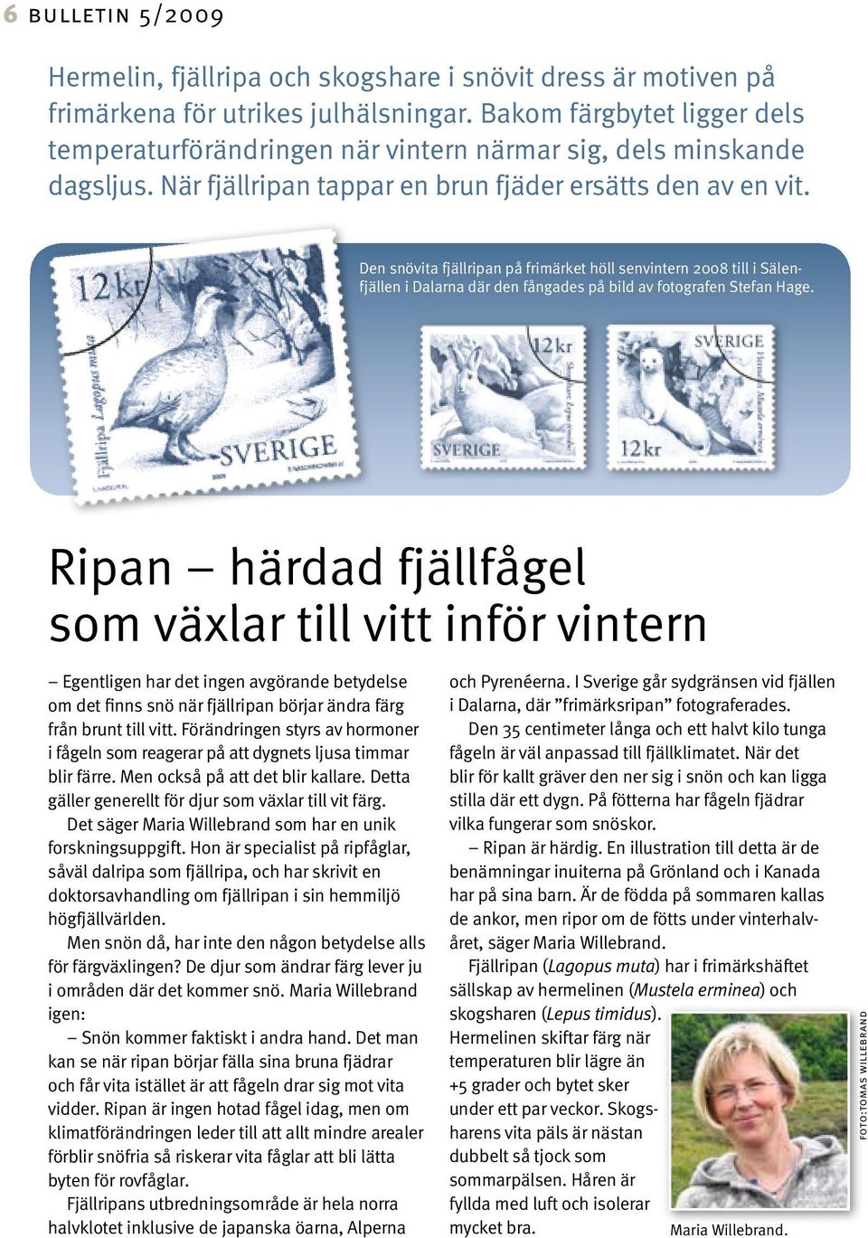 Den snövita fjällripan på frimärket höll senvintern 2008 till i Sälenfjällen i Dalarna där den fångades på bild av fotografen Stefan Hage.