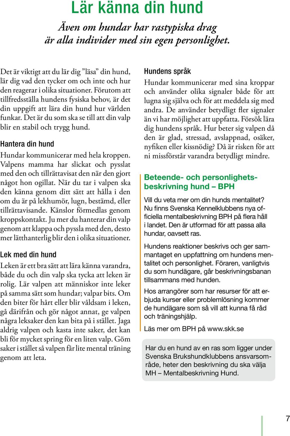 Förutom att tillfredsställa hundens fysiska behov, är det din uppgift att lära din hund hur världen funkar. Det är du som ska se till att din valp blir en stabil och trygg hund.