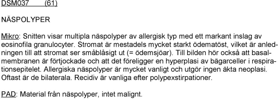 Till bilden hör också att basalmembranen är förtjockade och att det föreligger en hyperplasi av bägarceller i respirationsepitelet.