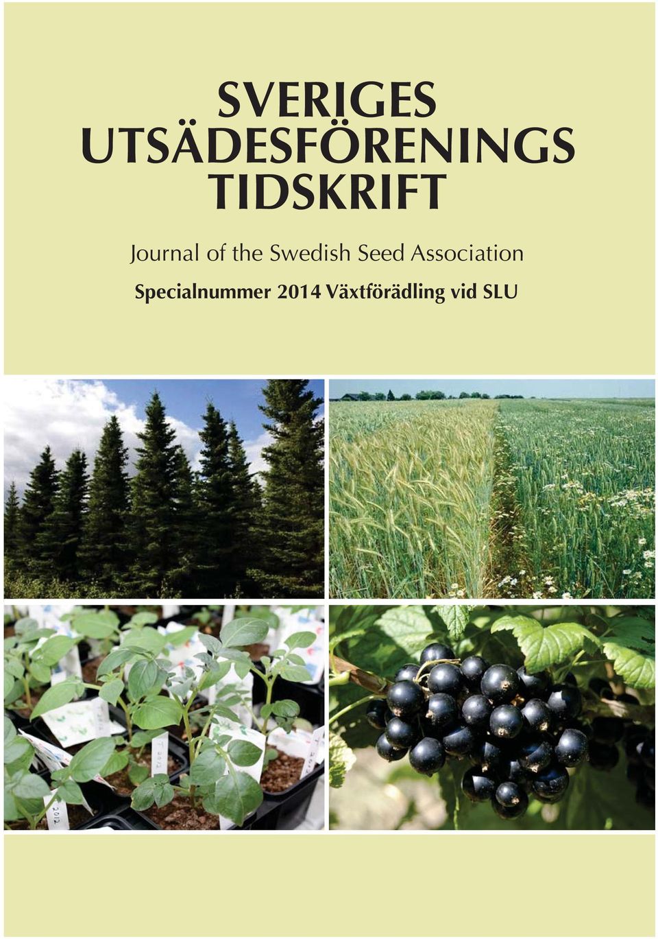 Swedish Seed Association