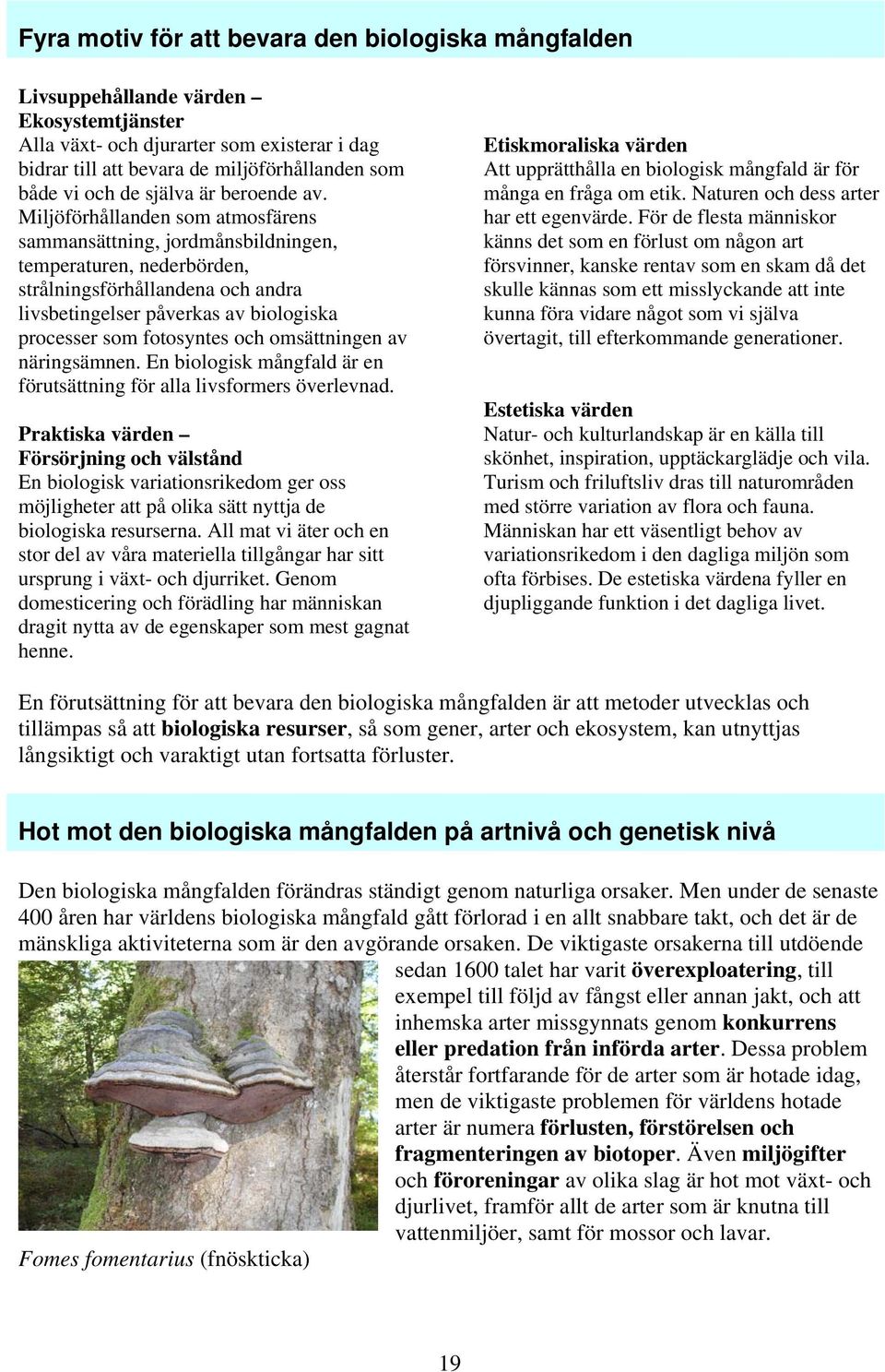 Miljöförhållanden som atmosfärens sammansättning, jordmånsbildningen, temperaturen, nederbörden, strålningsförhållandena och andra livsbetingelser påverkas av biologiska processer som fotosyntes och