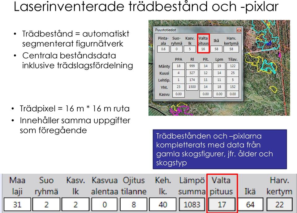 16 m * 16 m ruta Innehåller samma uppgifter som föregående Trädbestånden och