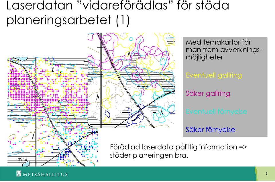 gallring Säker gallring Eventuell förnyelse Säker förnyelse