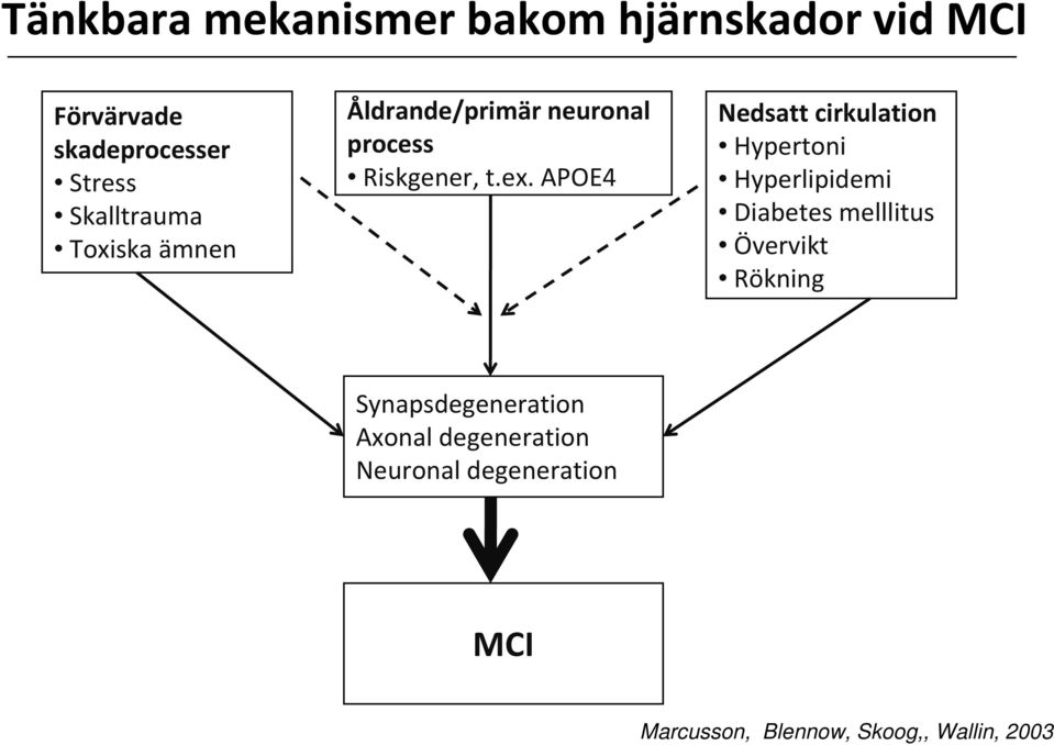 APOE4 Nedsatt cirkulation Hypertoni Hyperlipidemi Diabetes melllitus Övervikt Rökning