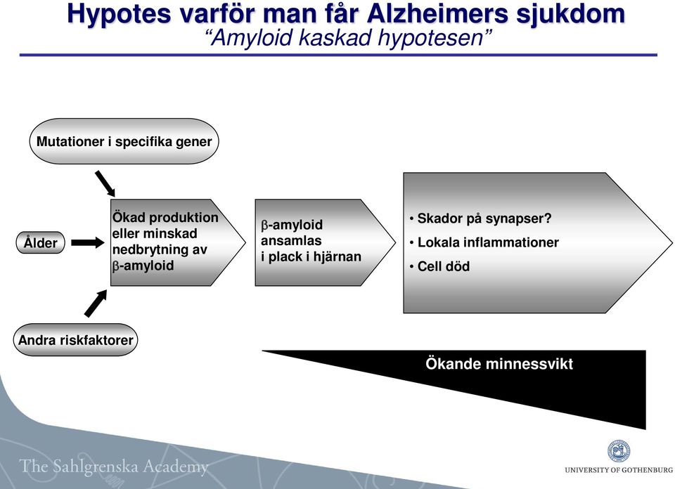 nedbrytning av β-amyloid β-amyloid ansamlas i plack i hjärnan Skador