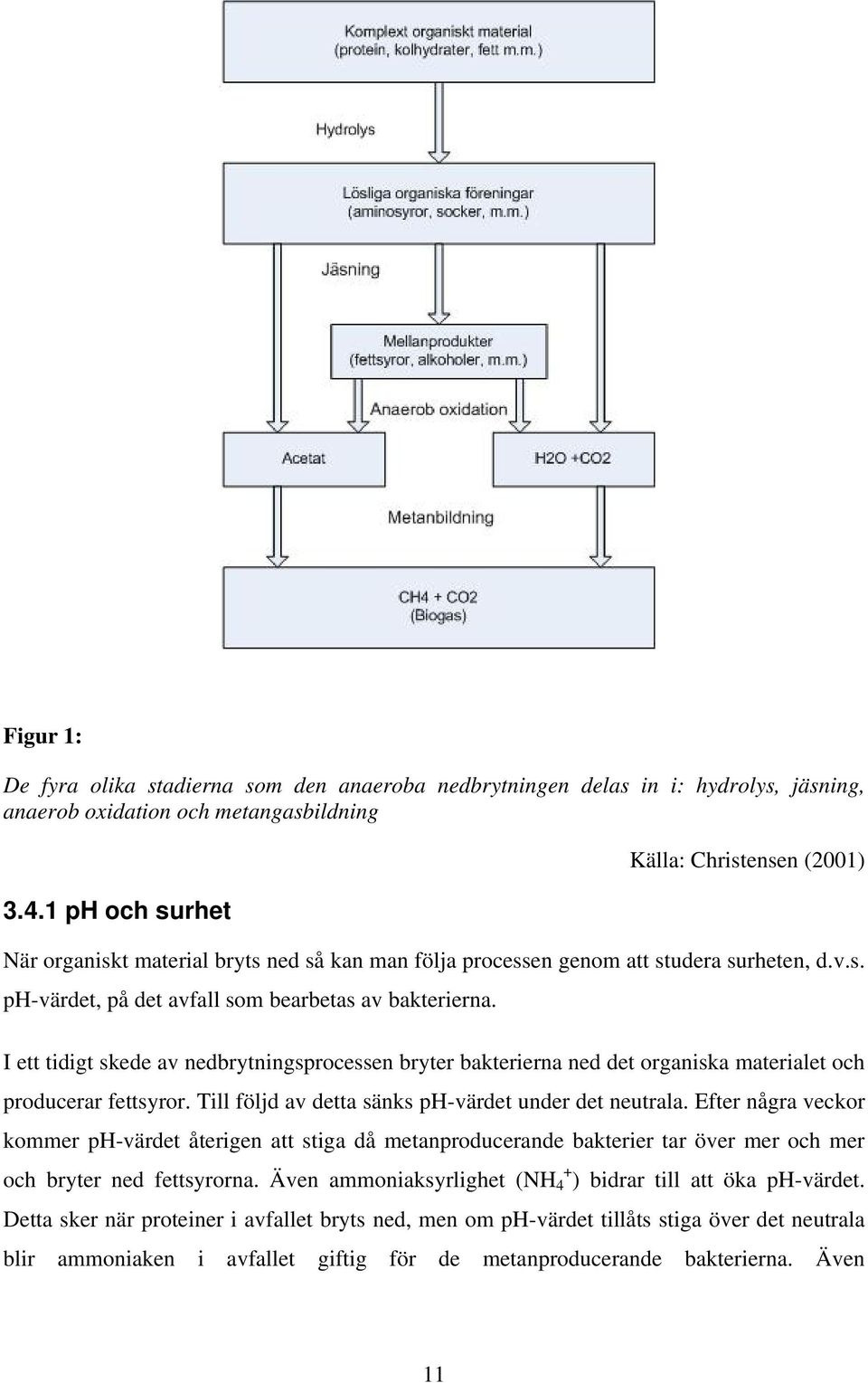 I ett tidigt skede av nedbrytningsprocessen bryter bakterierna ned det organiska materialet och producerar fettsyror. Till följd av detta sänks ph-värdet under det neutrala.