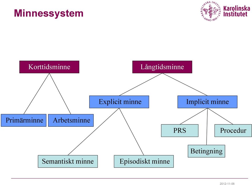 Primärminne Arbetsminne PRS Procedur