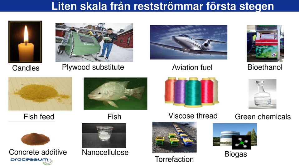 Bioethanol Fish feed Fish Viscose thread Green