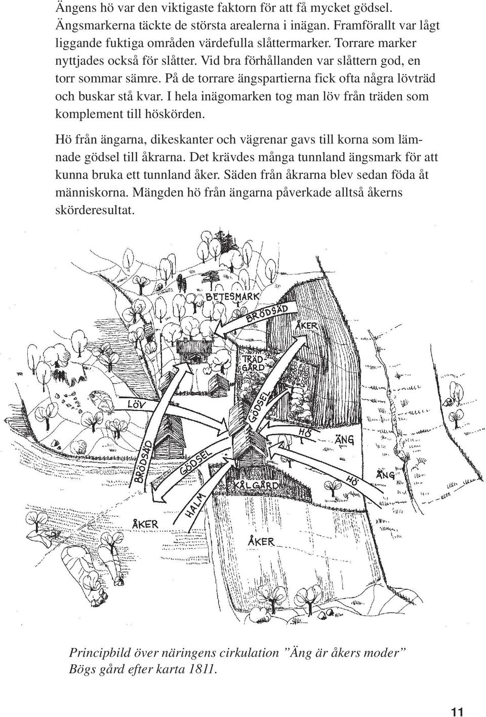 I hela inägomarken tog man löv från träden som komplement till höskörden. Hö från ängarna, dikeskanter och vägrenar gavs till korna som lämnade gödsel till åkrarna.