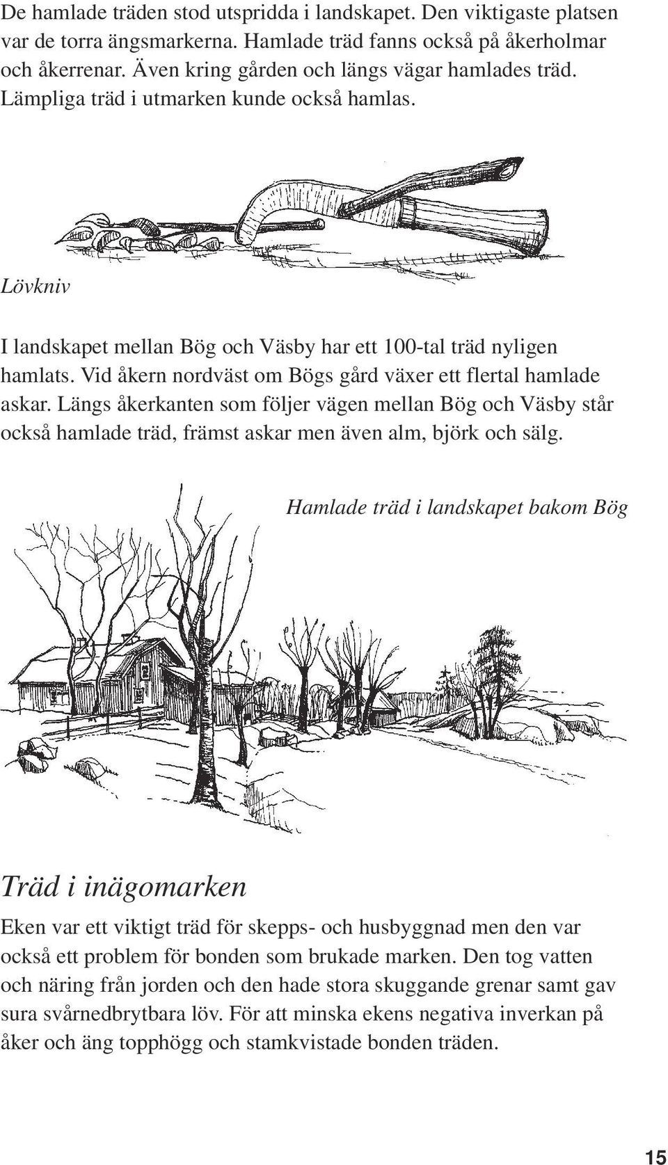 Längs åkerkanten som följer vägen mellan Bög och Väsby står också hamlade träd, främst askar men även alm, björk och sälg.