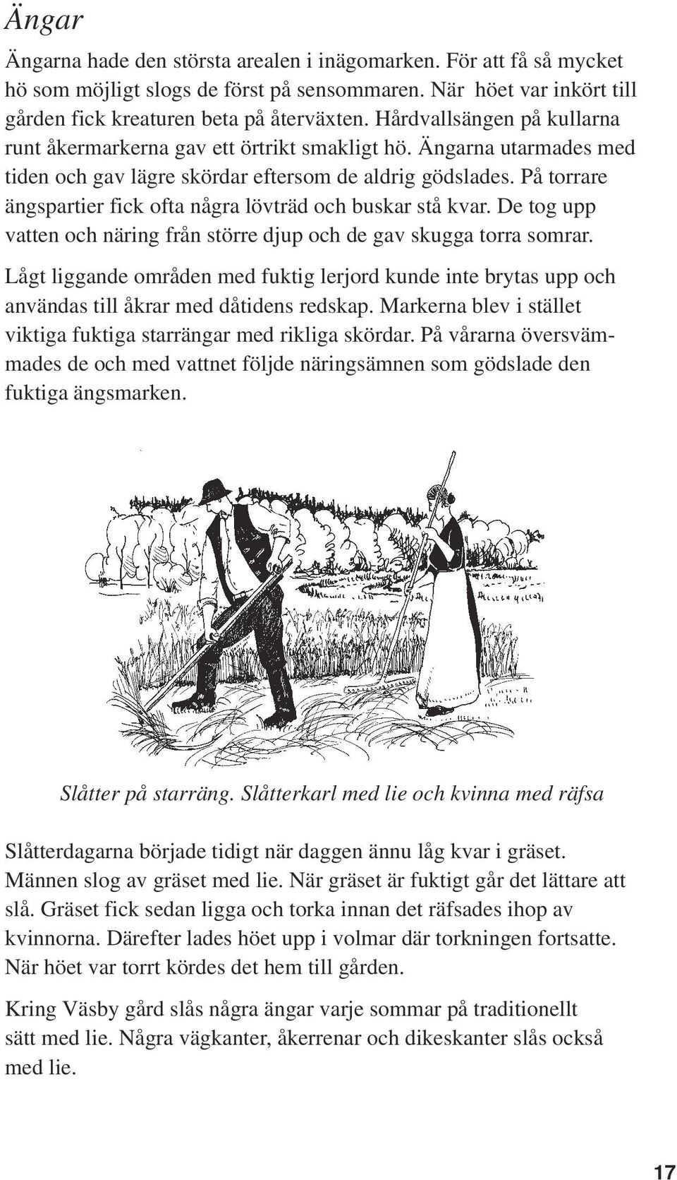 På torrare ängspartier fick ofta några lövträd och buskar stå kvar. De tog upp vatten och näring från större djup och de gav skugga torra somrar.