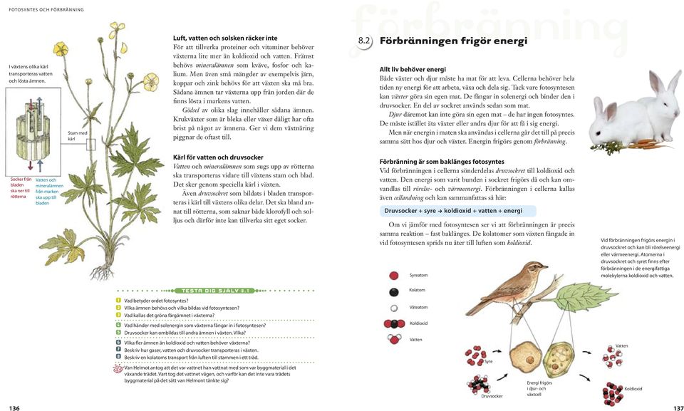 Men även små mängder av exempelvis järn, koppar och zink behövs för att växten ska må bra. Sådana ämnen tar växterna upp från jorden där de finns lösta i markens vatten.