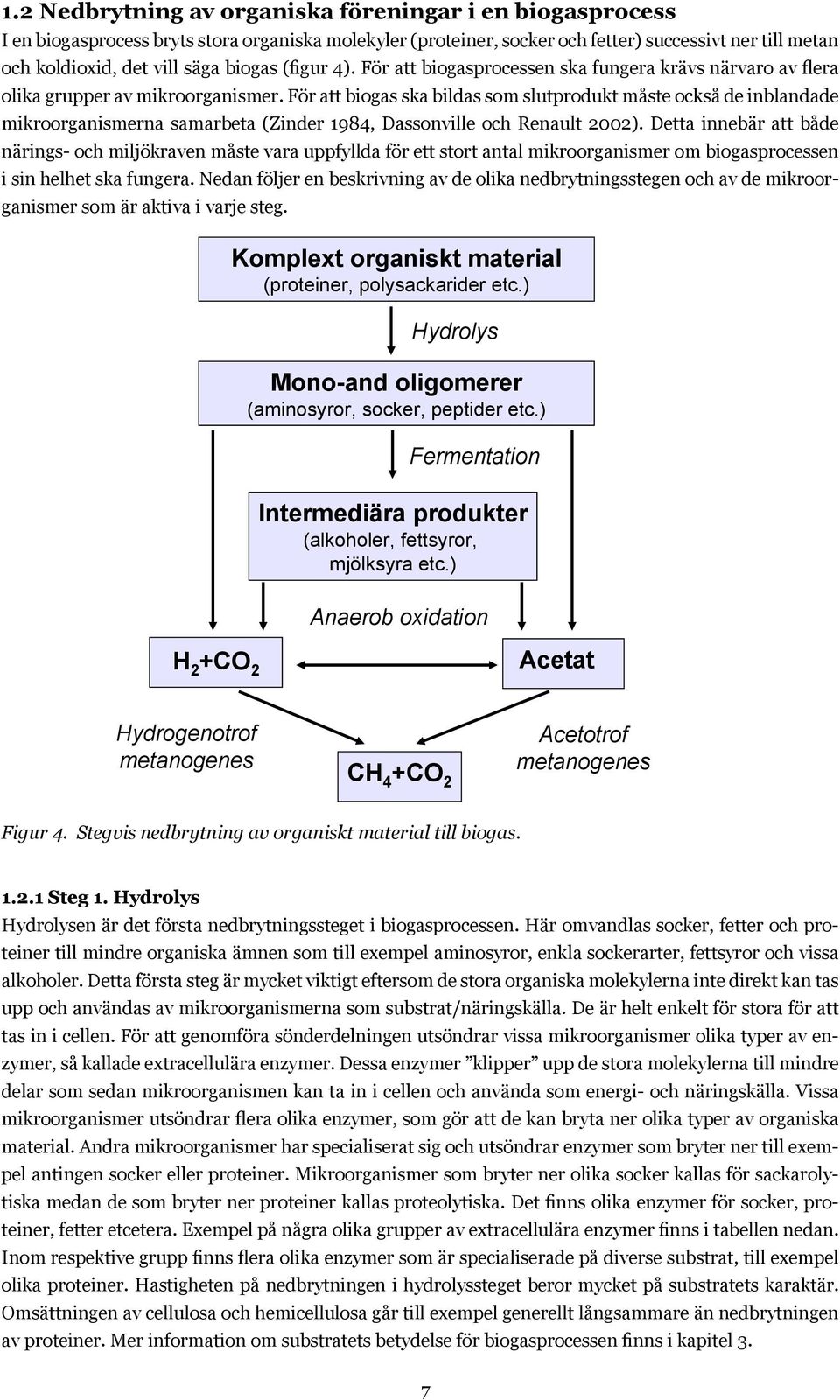 För att biogas ska bildas som slutprodukt måste också de inblandade mikroorganismerna samarbeta (Zinder 1984, Dassonville och Renault 2002).