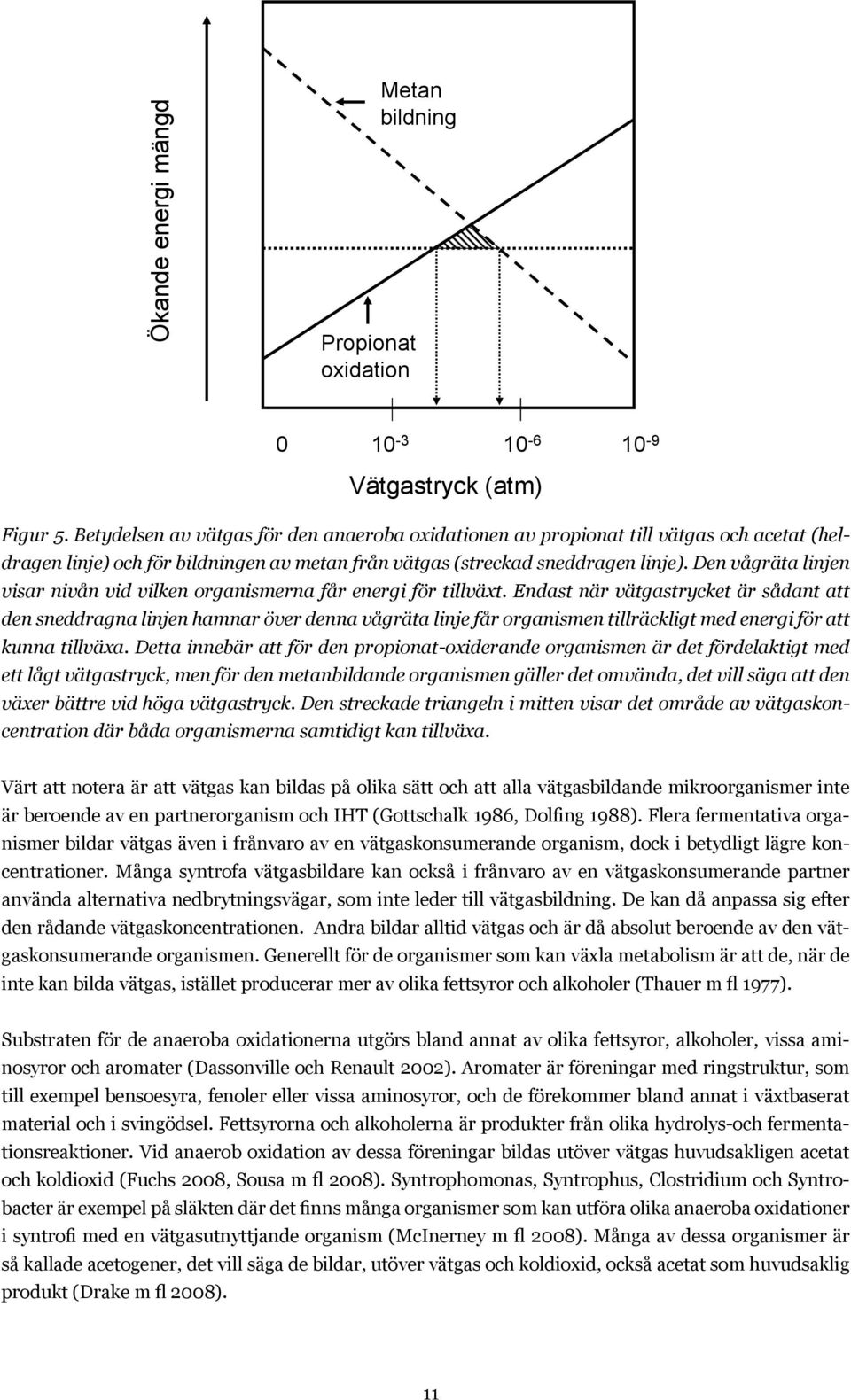 Den vågräta linjen visar nivån vid vilken organismerna får energi för tillväxt.