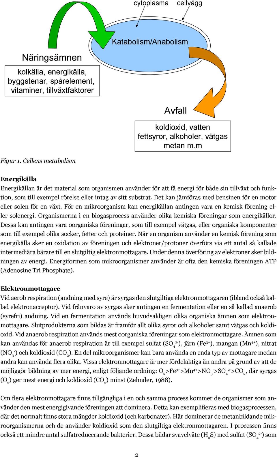 Cellens metabolism Energikälla Energikällan är det material som organismen använder för att få energi för både sin tillväxt och funktion, som till exempel rörelse eller intag av sitt substrat.