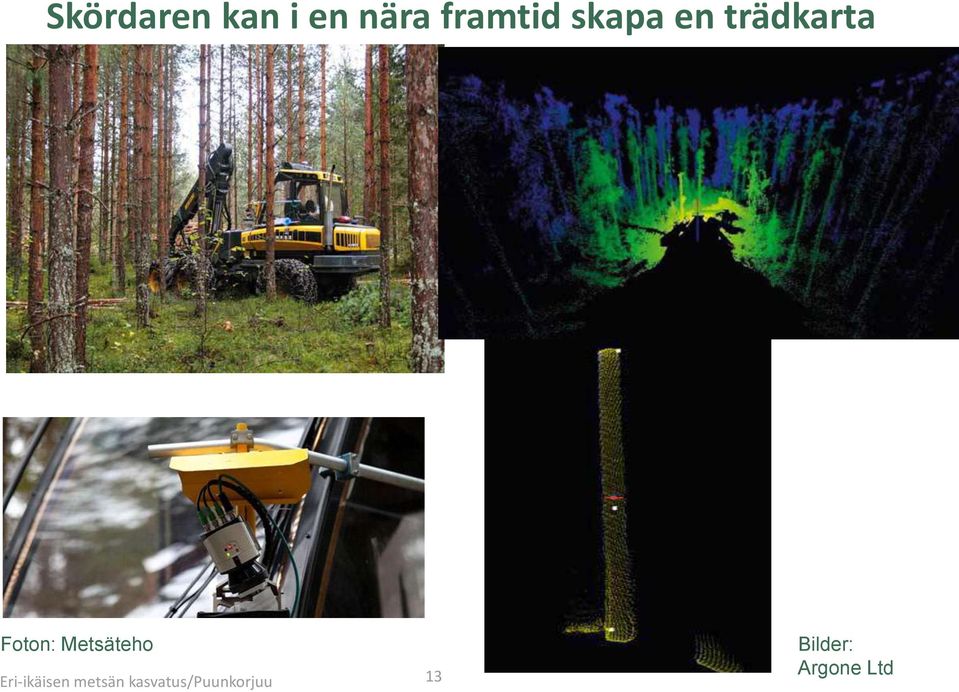 Metsäteho Eri-ikäisen metsän