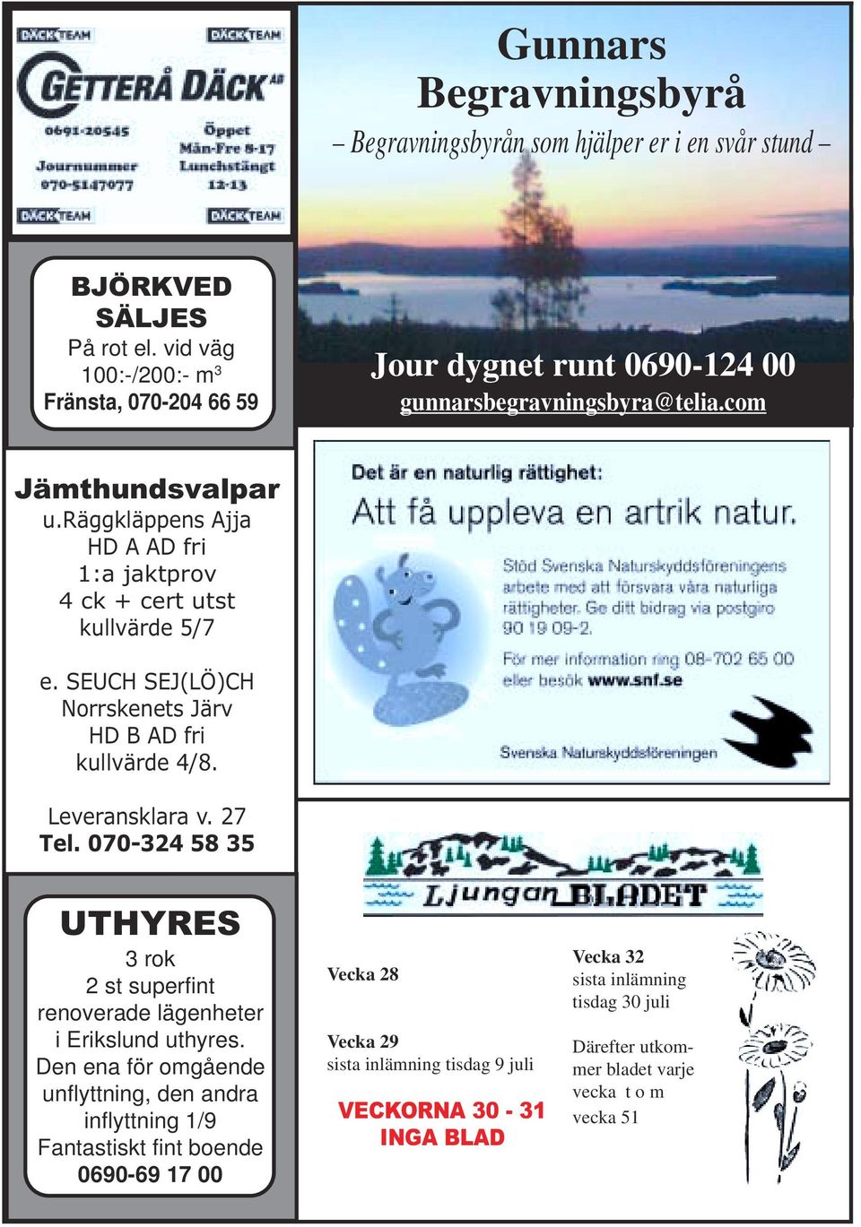 räggkläppens Ajja HD A AD fri 1:a jaktprov 4 ck + cert utst kullvärde 5/7 e. SEUCH SEJ(LÖ)CH Norrskenets Järv HD B AD fri kullvärde 4/8. Leveransklara v. 27 Tel.