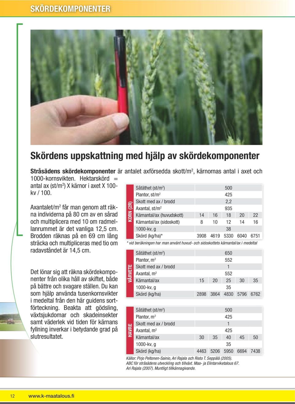 Axantalet/m 2 får man genom att räkna individerna på 80 cm av en sårad och multiplicera med 10 om radmellanrummet är det vanliga 12,5 cm.