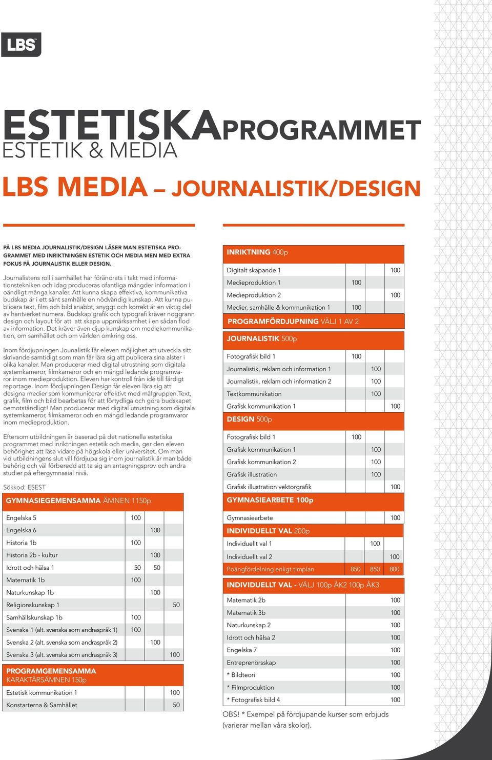 Att kunna skapa effektiva, kommunikativa budskap är i ett sånt samhälle en nödvändig kunskap. Att kunna publicera text, film och bild snabbt, snyggt och korrekt är en viktig del av hantverket numera.