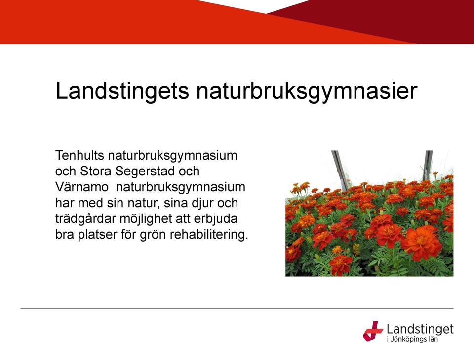 naturbruksgymnasium har med sin natur, sina djur och