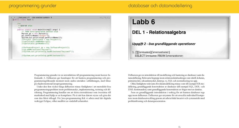 Under den fem veckor långa delkursen tränas färdigheter i att metodiskt lösa programmeringsproblem inom problemanalys, implementering, testning och felsökning.