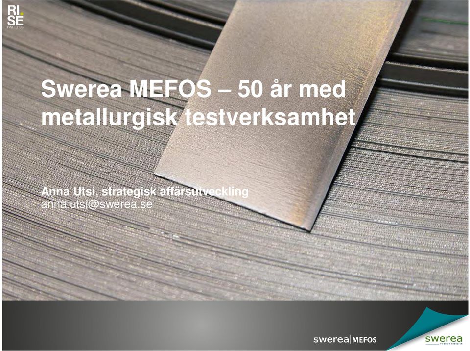Anna Utsi, strategisk