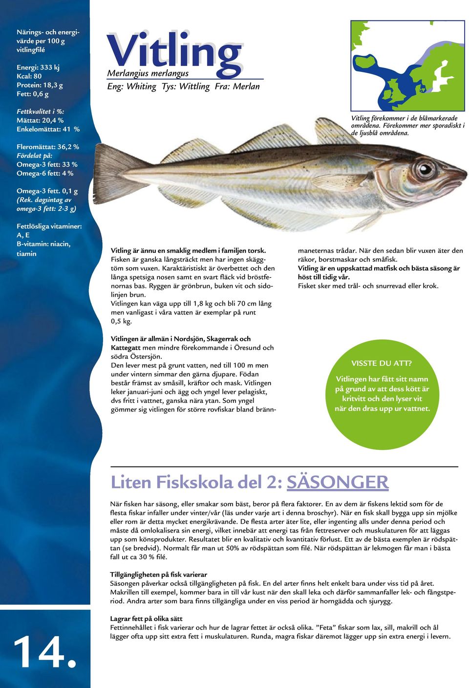 0,1 g Fettlösliga vitaminer: A, E B-vitamin: niacin, tiamin Vitling är ännu en smaklig medlem i familjen torsk. Fisken är ganska långsträckt men har ingen skäggtöm som vuxen.