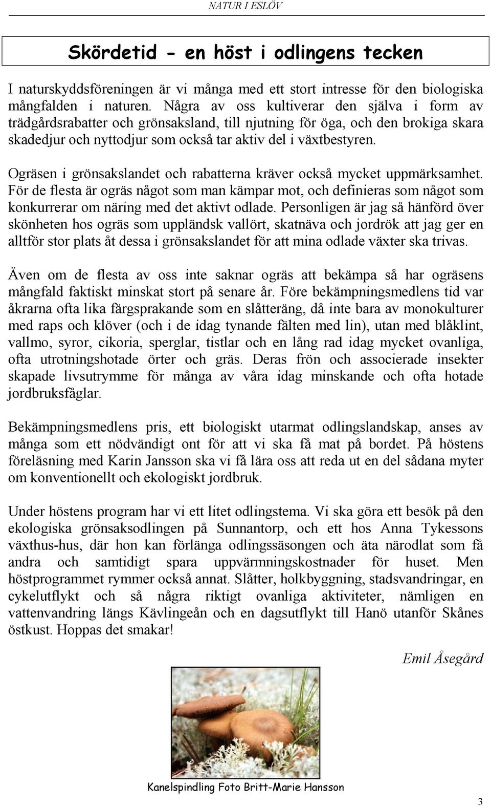 Ogräsen i grönsakslandet och rabatterna kräver också mycket uppmärksamhet. För de flesta är ogräs något som man kämpar mot, och definieras som något som konkurrerar om näring med det aktivt odlade.
