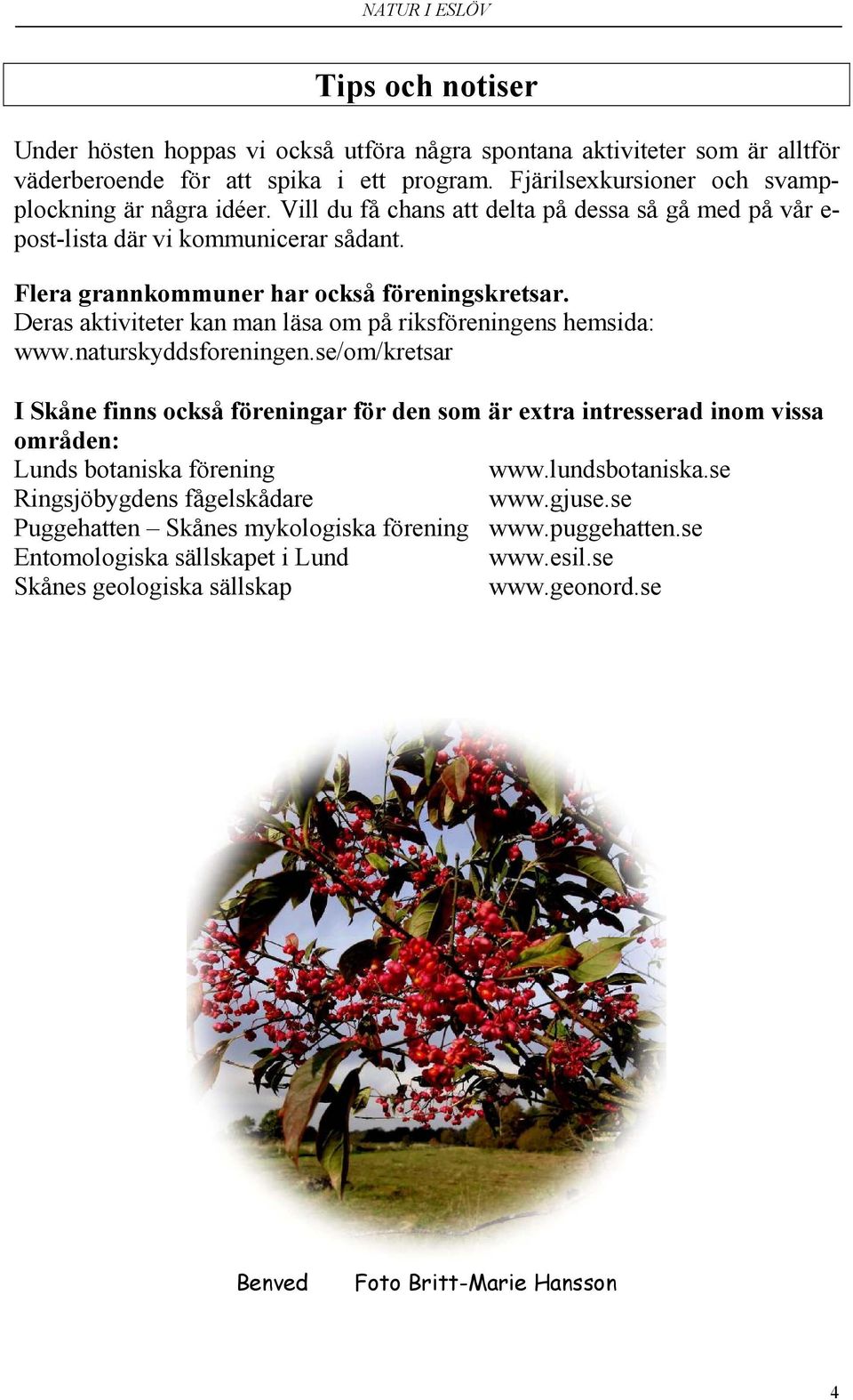 Deras aktiviteter kan man läsa om på riksföreningens hemsida: www.naturskyddsforeningen.