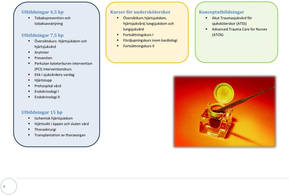 hjärtsjukdom, hjärtsjukvård, lungsjukdom och lungsjukvård Fortsättningskurs I Fördjupningskurs inom kardiologi Fortsättningskurs II Konceptutbildningar Akut Traumasjukvård