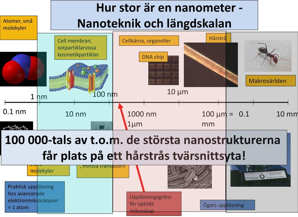 1 mm får plats på ett hårstrås tvärsnittsyta!