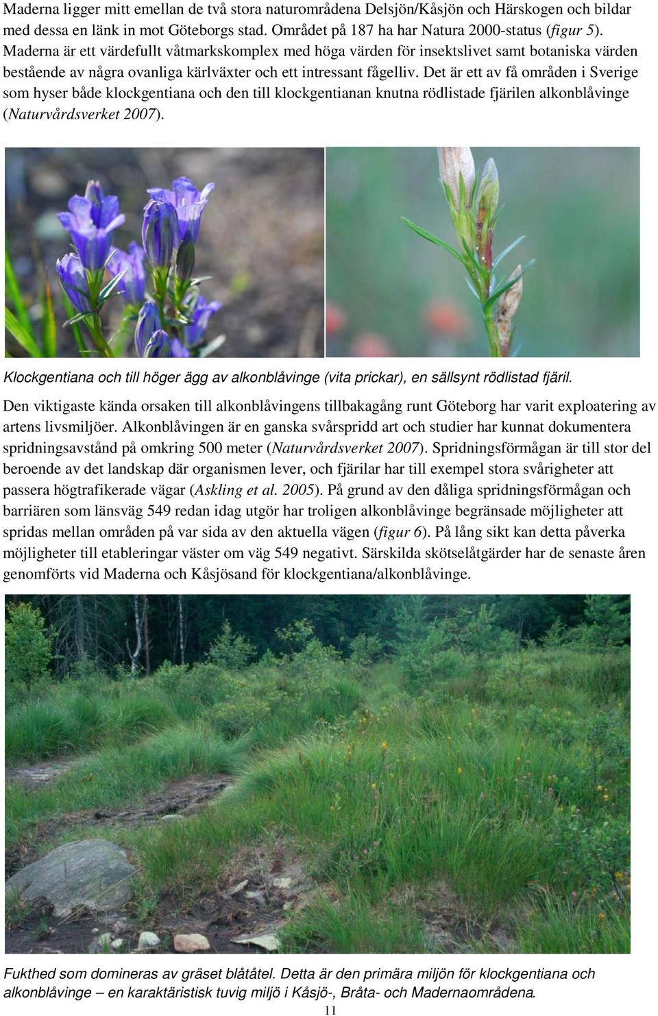 Det är ett av få områden i Sverige som hyser både klockgentiana och den till klockgentianan knutna rödlistade fjärilen alkonblåvinge (Naturvårdsverket 2007).