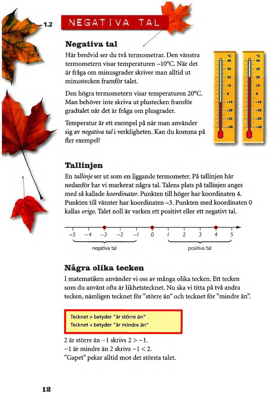 Temperatur är ett exempel på när man använder sig av negativa tal i verkligheten. Kan du komma på fler exempel? Tallinjen En tallinje ser ut som en liggande termometer.