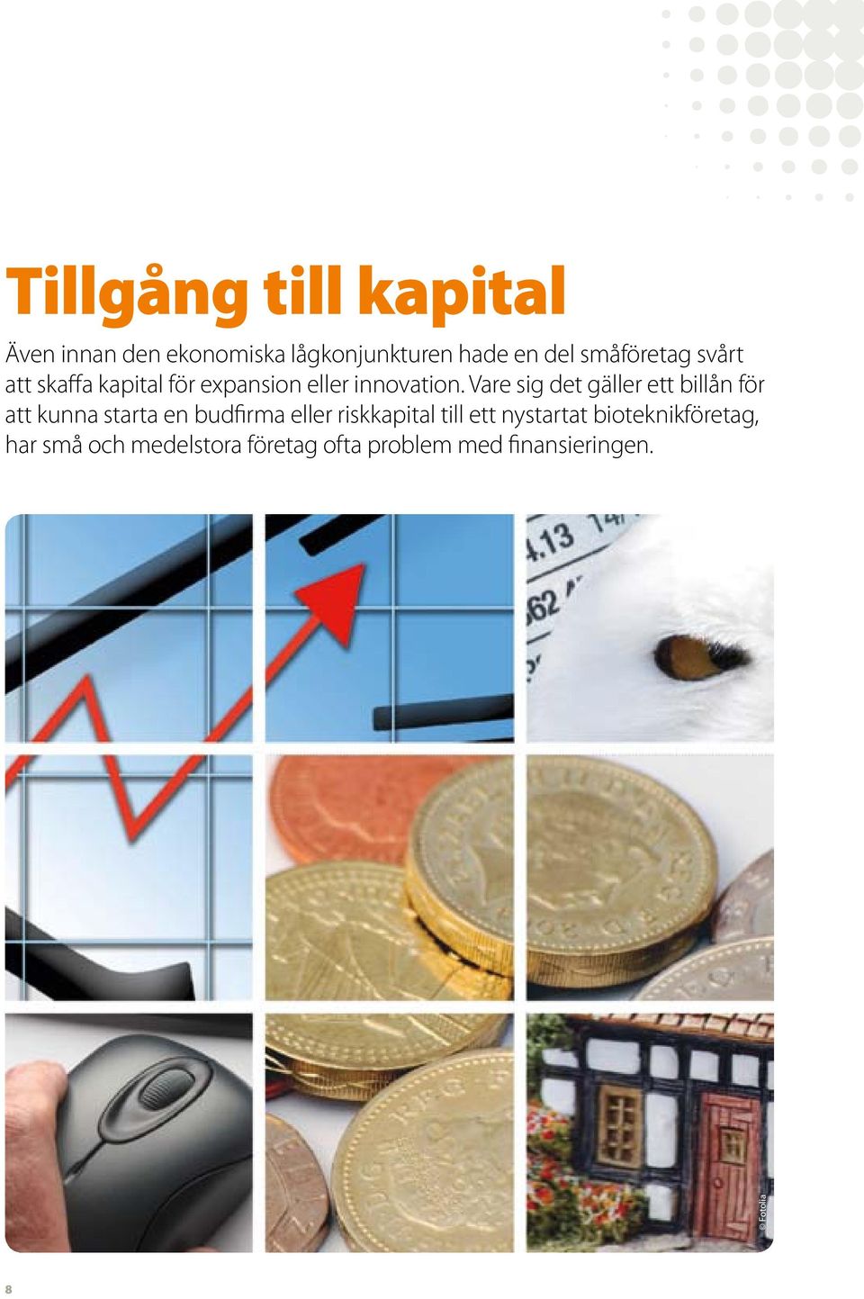 Vare sig det gäller ett billån för att kunna starta en budfirma eller riskkapital