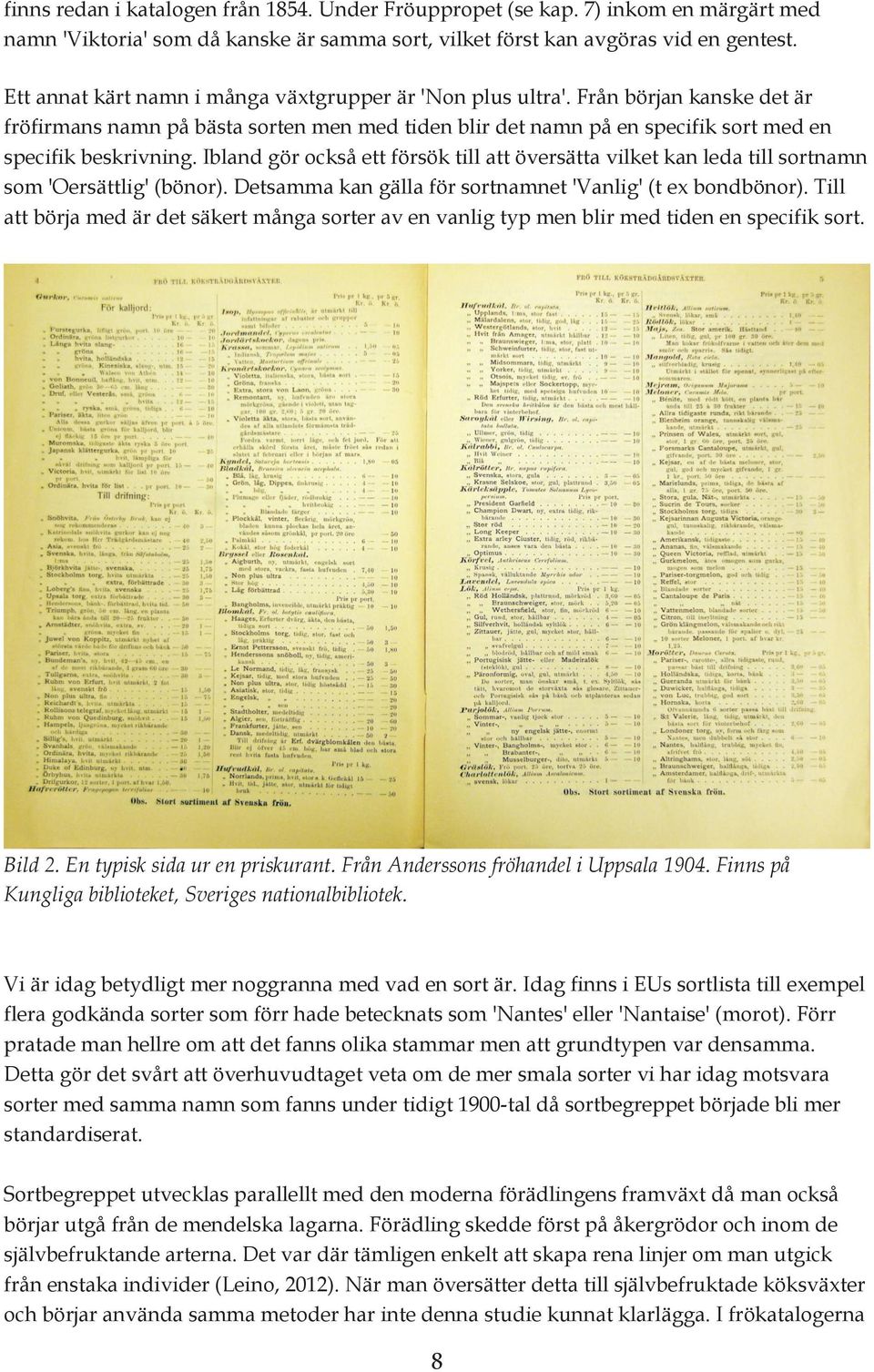 Ibland gör också ett försök till att översätta vilket kan leda till sortnamn som 'Oersättlig' (bönor). Detsamma kan gälla för sortnamnet 'Vanlig' (t ex bondbönor).