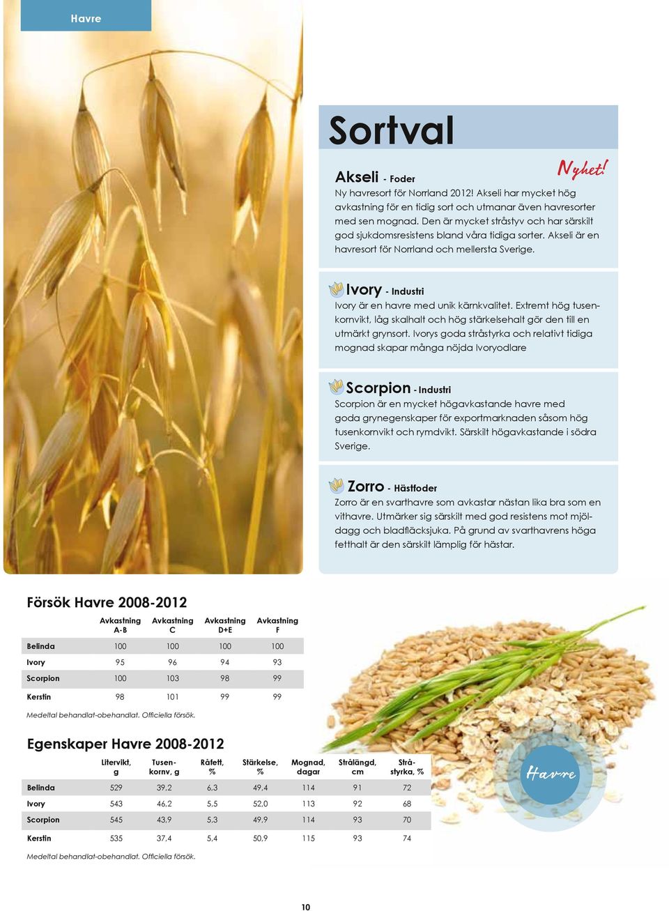 Ivory - Industri Ivory är en havre med unik kärnkvalitet. Extremt hög tusenkornvikt, låg skalhalt och hög stärkelsehalt gör den till en utmärkt grynsort.