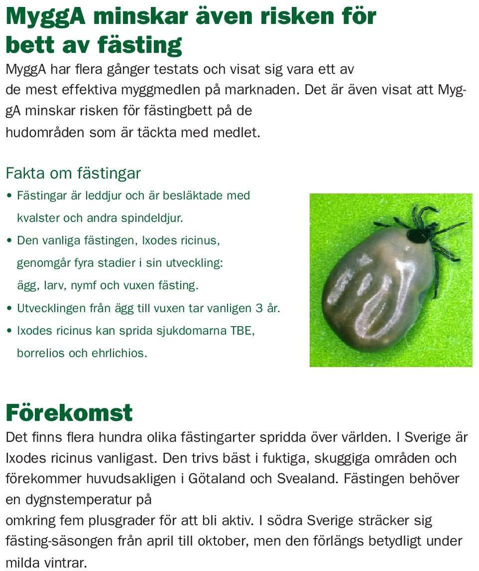 Den vanliga fästingen, Ixodes ricinus, genomgår fyra stadier i sin utveckling: ägg, larv, nymf och vuxen fästing. Utvecklingen från ägg till vuxen tar vanligen 3 år.