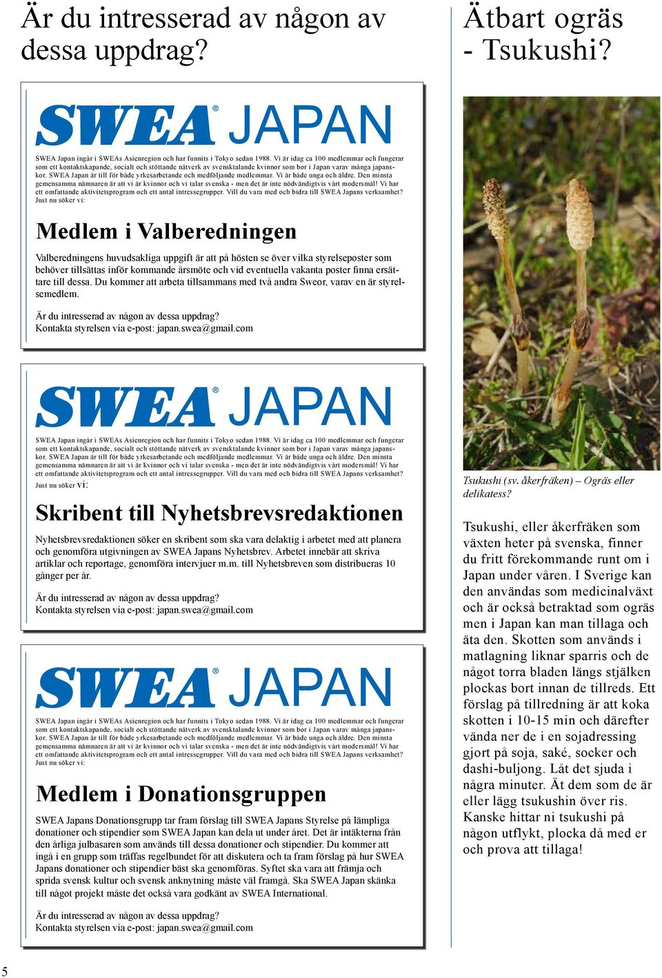 SWEA Japan är till för både yrkesarbetande och medföljande medlemmar. Vi är både unga och äldre.